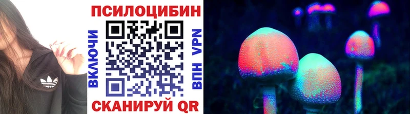 Галлюциногенные грибы MAGIC MUSHROOMS  купить   гидра ссылки  Егорьевск 
