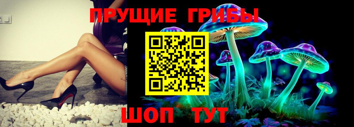 Егорьевск  Псилоцибиновые грибы Psilocybe  Вход с VPN  Псилоцибиновые грибы прущие грибы 